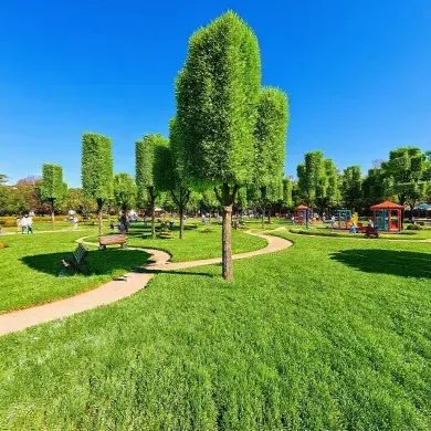 Jalan Santai Di Taman Dengan Sentuhan Grass Block!